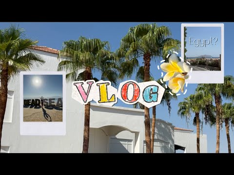 Видео: Отпуск: так Египет или Израиль?