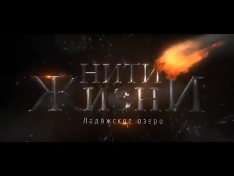 Видео: Нити жизни. Ладожское озеро