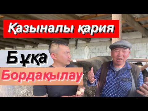 Видео: Қазыналы қариямыз бордақылаудың қыр-сырын түсіндірді