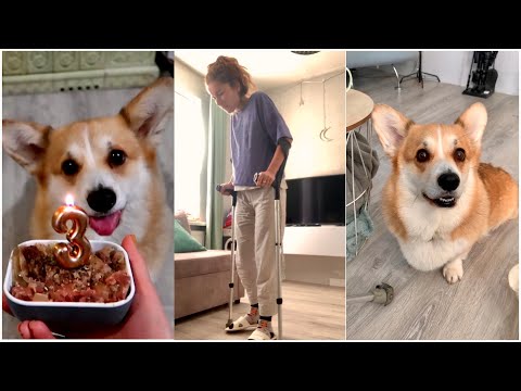 Видео: Я Упала с лестницы 🤦🏽‍♀️Сэдди 3 года! 🎊 VLOG