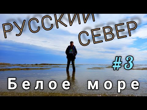 Видео: На Белое море с палаткой! Русский север ч.3 Карелия/Пиндуши/Беломорские петроглифы/мыс Выгнаволок