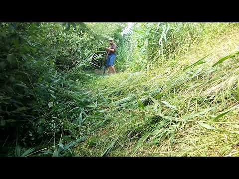 Видео: Кошу траву у землянки,делаю место для купания.