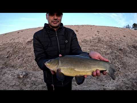 Видео: ловля линя весной на фидер OK COPE SPORT GROUNDBAITS Special mix -Tench Sweet Marzipan и Cool GARLIC