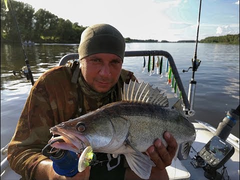 Видео: В поисках ТРОФЕЙНОГО судака и ловится ли судак на ПРЕЗИК! рыба в эхолоте Raymarine Dragonfly 4