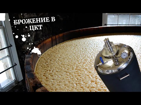 Видео: Брожение в ЦКТ,полный цикл брожения,сухое охмеление,DIPA.