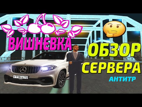 Видео: НАШЕЛ ЗАМЕНУ МАЛИНОВКЕ - ВИШНЕВКА