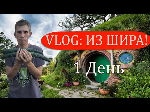 Видео: VLOG: Кирилл Торгояков в Шире !