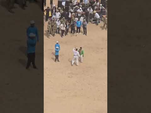 Видео: шакар Муҳаммад ва фирдавс Гуштини ховалинг