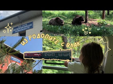 Видео: НА ПЪТ С ТЕСНОЛИНЕЙКА 🛤️ДОБРИНИЩЕ-ВЕЛИНГРАД-БЕЛИЦА🐻