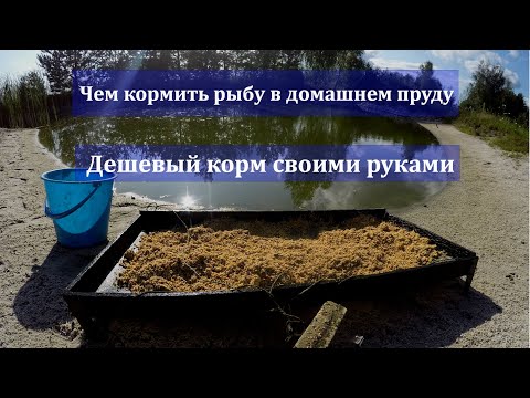 Видео: Пруд на участке.Пруд на даче.Водоём на участке. Пруд без плёнки