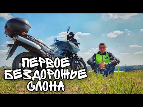 Видео: Первый выезд Слона на бездорожье | Suzuki V-Strom 650