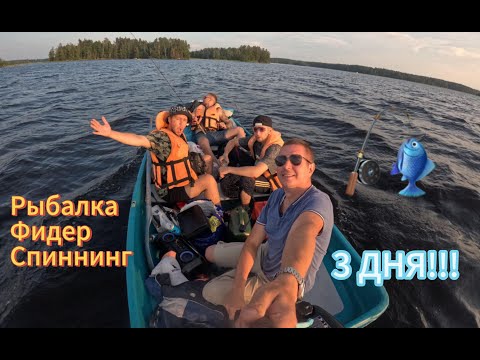 Видео: Ночь на Острове в Карелии: Фидерный Беспредел и Трофейный Спиннинг