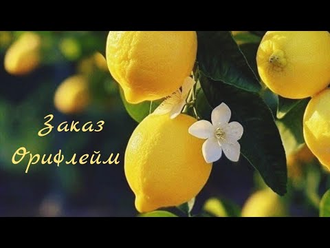 Видео: Шикарный заказ #орифлейм