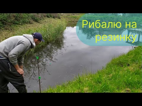 Видео: Рибалю на резинку, на власному ставку.