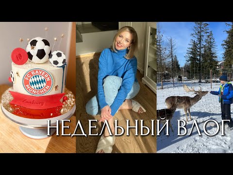Видео: ВЛОГ: РЕАЛЬНАЯ ЖИЗНЬ, ОДНА НА ХОЗЯЙСТВЕ, ГОТОВИМ ПП KFC, ДОМАШНИЕ ЛАЙФХАКИ, РЕРСО, ЗАХАРУ 10 ЛЕТ!