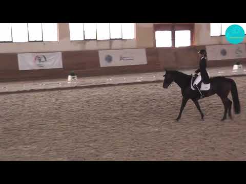 Видео: Грицук Яна и Анжуна. Командный Приз. 57,414%. Алматы. 19-10-25