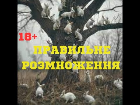 Видео: Правильне розмноження