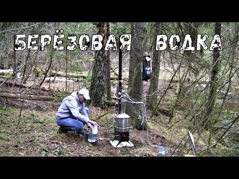 Видео: Весна! Перегоняю водку в лесу.