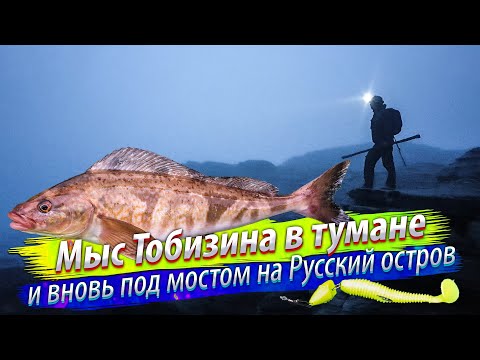 Видео: 🇷🇺 ЗВЕРСКИЕ ПОКЛЁВКИ на касании приманкой дна. Рыбалка во Владивостоке с берега. Японское море.