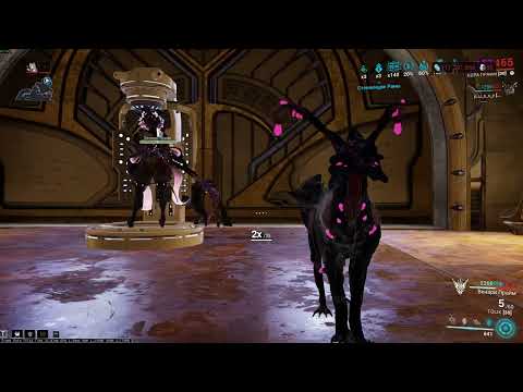 Видео: Урон и фарм в одном фрейме | Кора Прайм | Билд | Гайд | Warframe 2025
