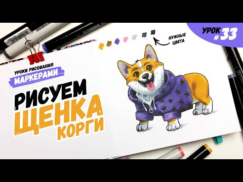 Видео: Как нарисовать щенка корги? / Урок по рисованию маркерами для новичков #33