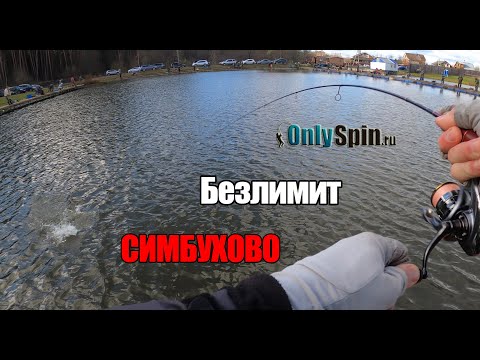 Видео: Форелевый безлимит в Симбухово. Ловля форели на резину. Утопили садок. Как же достать? # OnlySpin