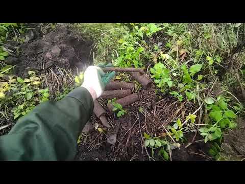 Видео: Металлокоп. Нашел маленькую кузню 