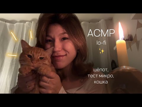 Видео: асмр lo-fi ✨ тест микро, шепот, мурчание кошки и триггеры • asmr relax whispering