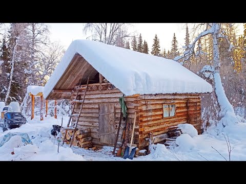 Видео: Привёз КОШКУ С ЩЕНКОМ В ТАЙГУ / -30 на улице. ЖИВЁМ В ИЗБУШКЕ / ОХОТА НА РЯБЧИКА И БЫТ В ЗИМОВЬЕ.