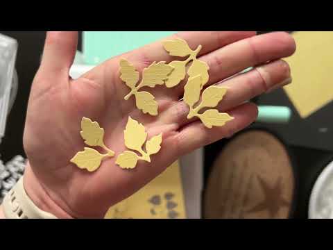 Видео: Болталка-распаковка с Али: много ножей и разных мелочей 