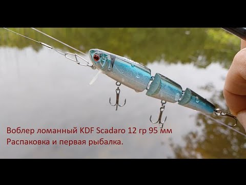 Видео: Составной воблер KDF Team Scadaro. Обзор и тестирование на водоёме.