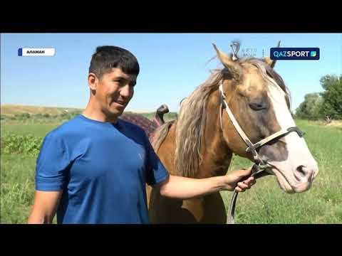 Видео: «АЛАМАН». 8 бағдарлама