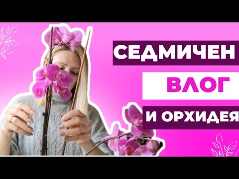 Видео: ВЛОГ: Първо барбекю на терасата и орхидея