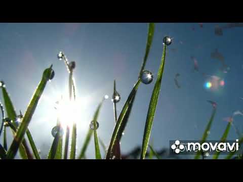 Видео: Олесь из Любоистока, песня "У тебя всё есть".