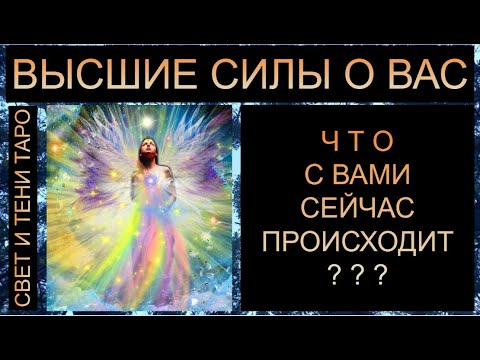 Видео: ВЫСШИЕ СИЛЫ О ВАС: ЧТО С ВАМИ СЕЙЧАС ПРОИСХОДИТ??  #таро #таропрогноз #таросегодня