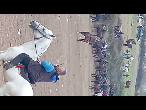 Видео: Бузкаши деҳаи Мачитон 30.11.24#2