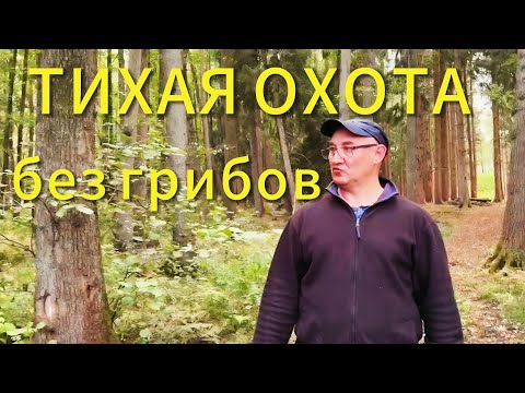 Видео: Тихая охота 2025 в Германии без грибов 🍂 Зато нашли настроение!