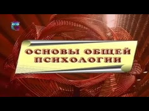 Видео: Основы общей психологии