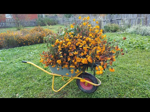 Видео: ОСЕНЬ🍁🍂ОТПУСК. УБИРАЮ ЦВЕТЫ🍀🌷. 