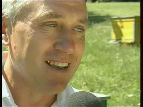 Видео: Пасіка, село Писарівка, 2009 рік