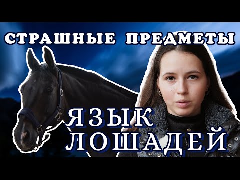 Видео: Язык лошадей. Страшные предметы.