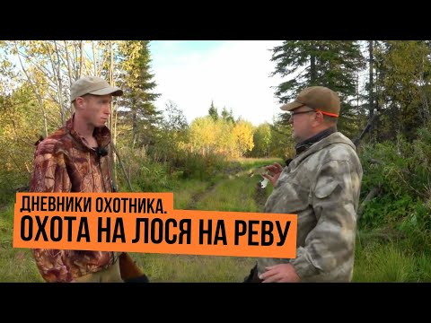 Видео: Охота на лося на реву \ Дневники охотника \ Сезон 2