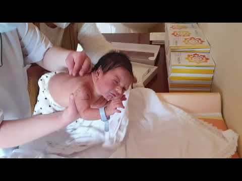 Видео: Студио Асенчо 4к 0888019372 Изписване на малкия принц Милко С.Скутаре Гр.Пловдив