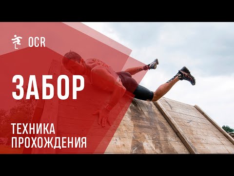 Видео: Забор - самое распространенное препятствие