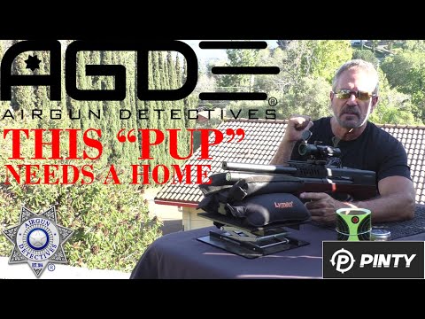 Видео: P-FORCE BULLPAP от Pinty