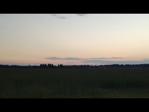 Видео: Танцы Минус - Половинка [slowed + reverb] [doomer wave]