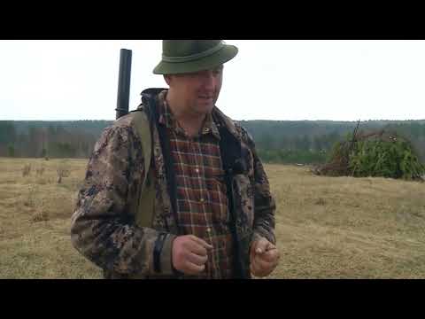 Видео: Охота на тетерева на току: Как найти ток, построить шалаш, подманить тетерева