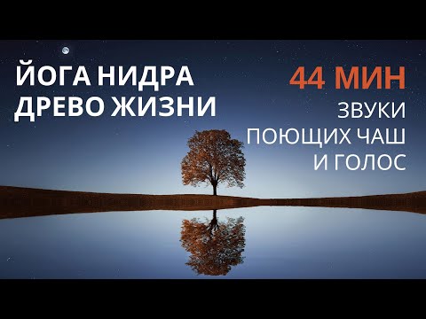 Видео: ЙОГА НИДРА с визуализацией Древо Жизни под звуки поющих чаш, 44 мин