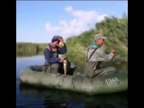 Видео: Ауылым - жердегі жаннатым.