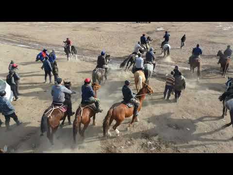 Видео: Аламан улак, Сарыташ-Нура-Арчабула-Талды Суу